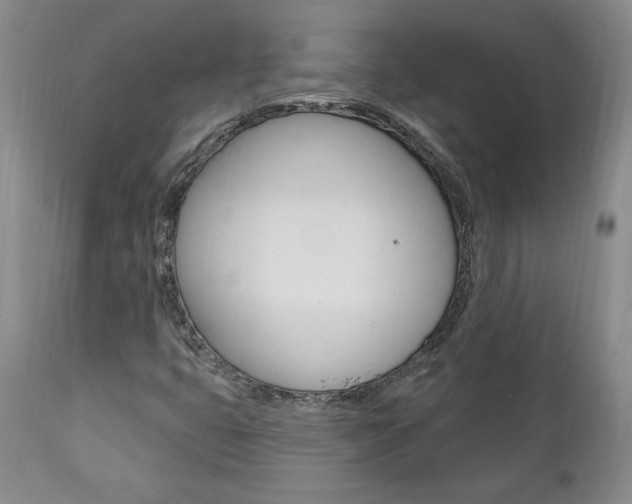 X0000112001399200908031035