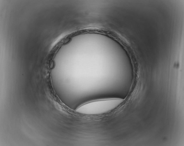 X0000112001400200908031035