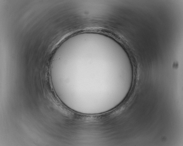 X0000112001401200908031035