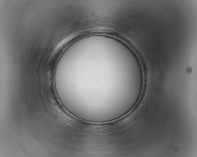 X0000112001402200908031035