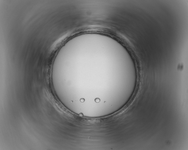 X0000112001403200908031035