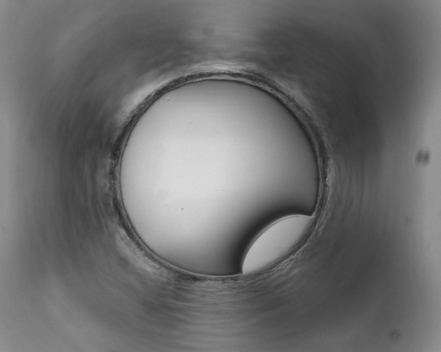 X0000112001404200908031035
