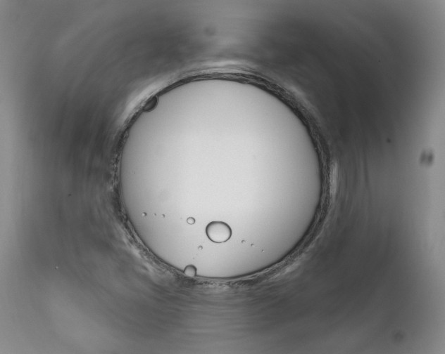 X0000112001405200908031035