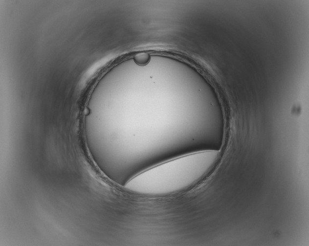 X0000112001406200908031035