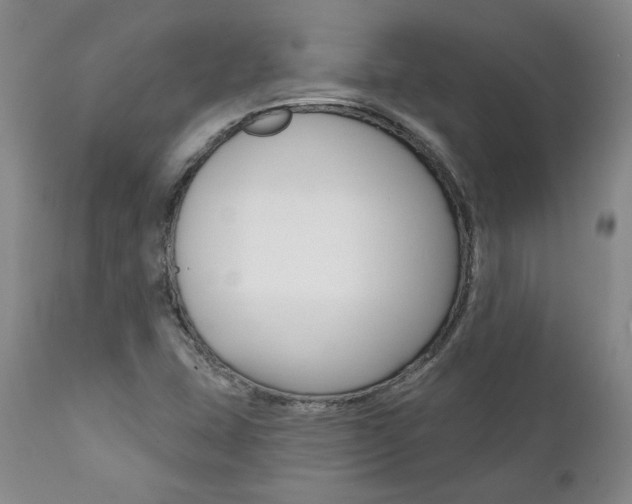 X0000112001407200908031035