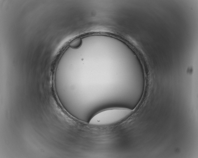 X0000112001408200908031035
