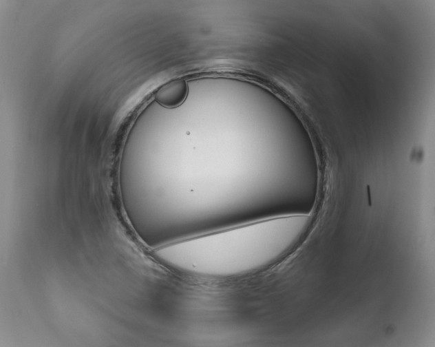 X0000112001410200908031035