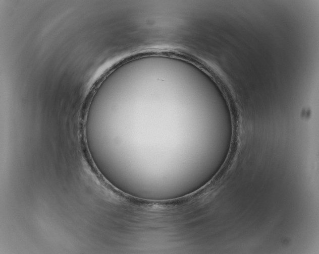 X0000112001412200908031035
