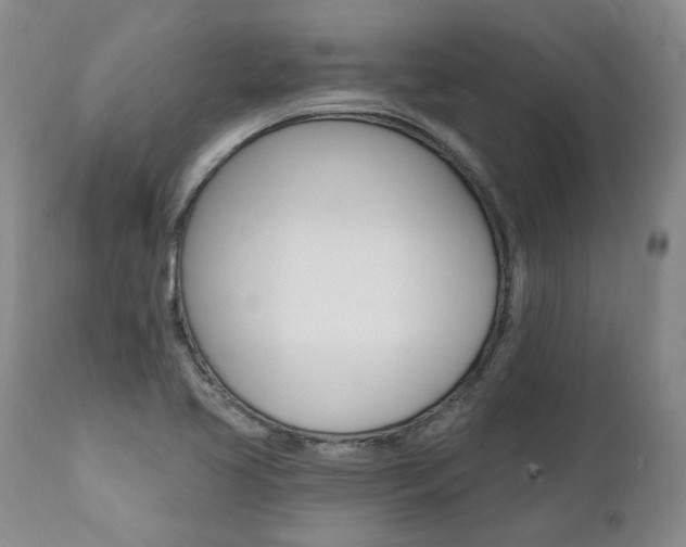 X0000112001413200908031035