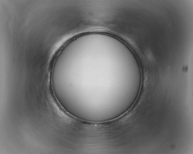 X0000112001414200908031035