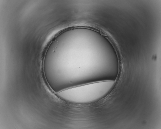 X0000112001416200908031035