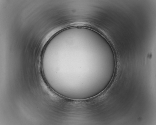 X0000112001418200908031035