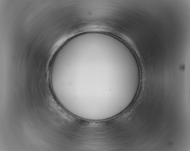 X0000112001419200908031035
