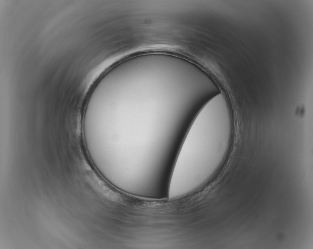 X0000112001420200908031035