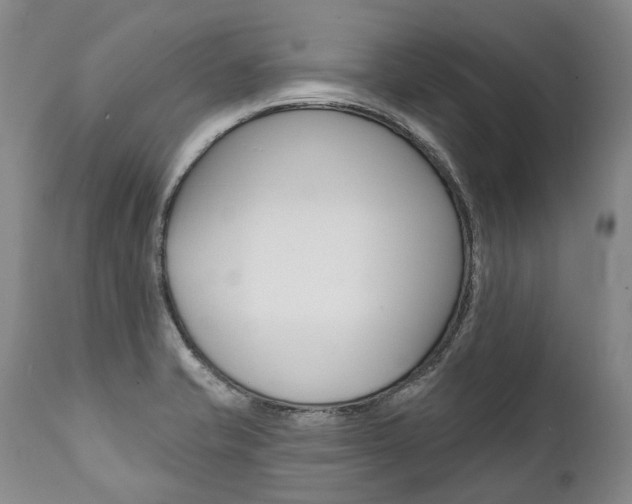 X0000112001421200908031035