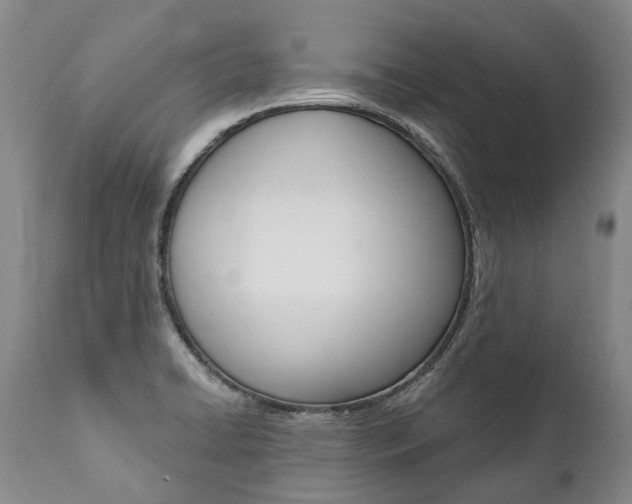 X0000112001422200908031035