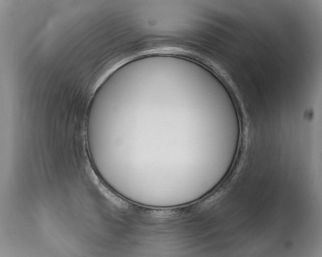 X0000112001425200908031035