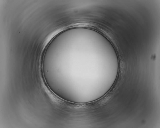X0000112001426200908031035