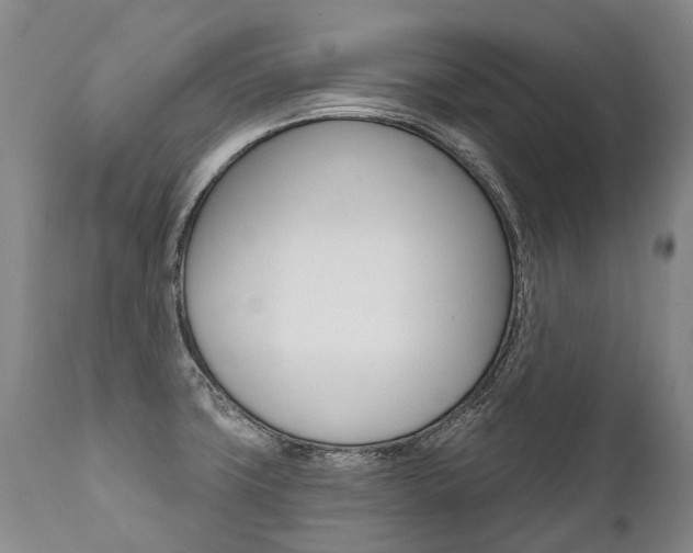 X0000112001427200908031035