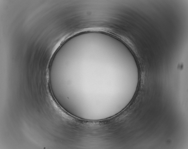 X0000112001428200908031036