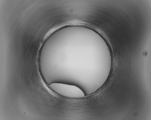 X0000112001429200908031036