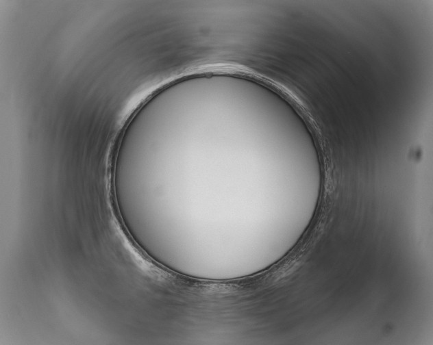 X0000112001430200908031036