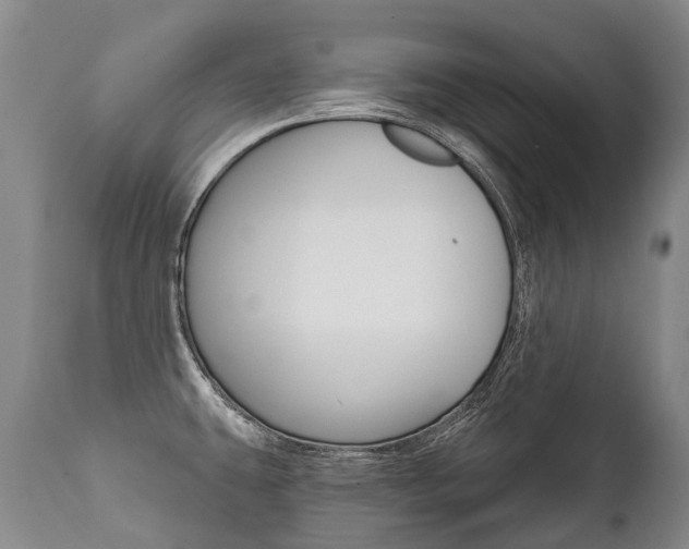 X0000112001431200908031036