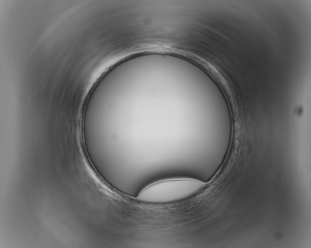 X0000112001432200908031036