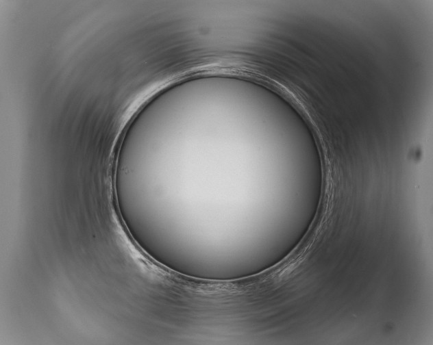 X0000112001434200908031036