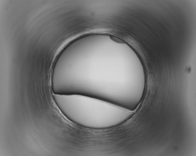 X0000112001436200908031036