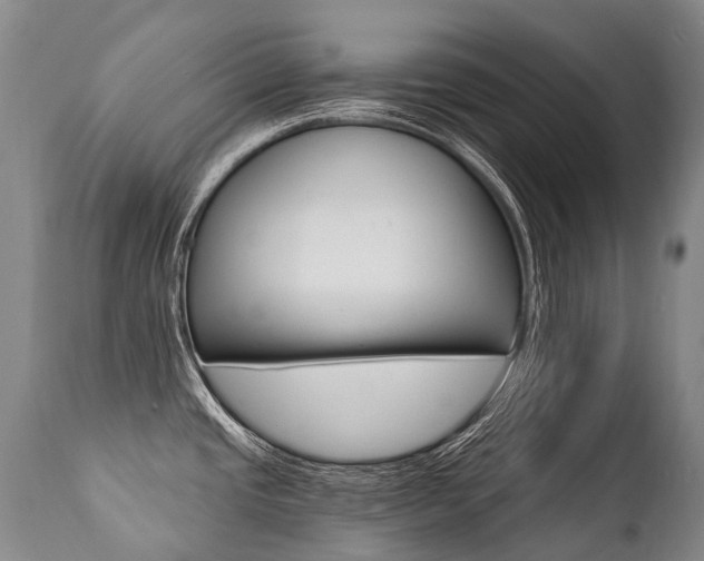 X0000112001437200908031036