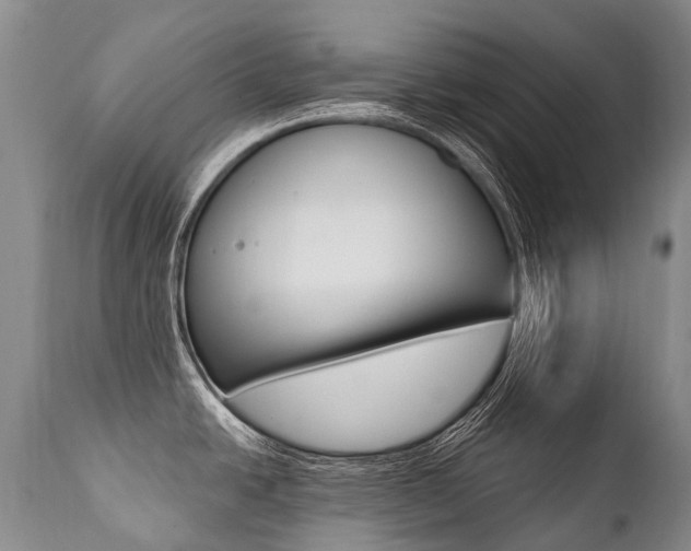 X0000112001438200908031036