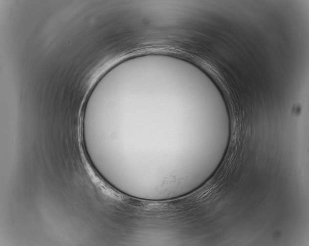 X0000112001439200908031036