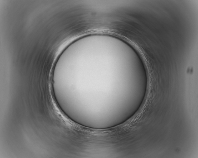 X0000112001440200908031036