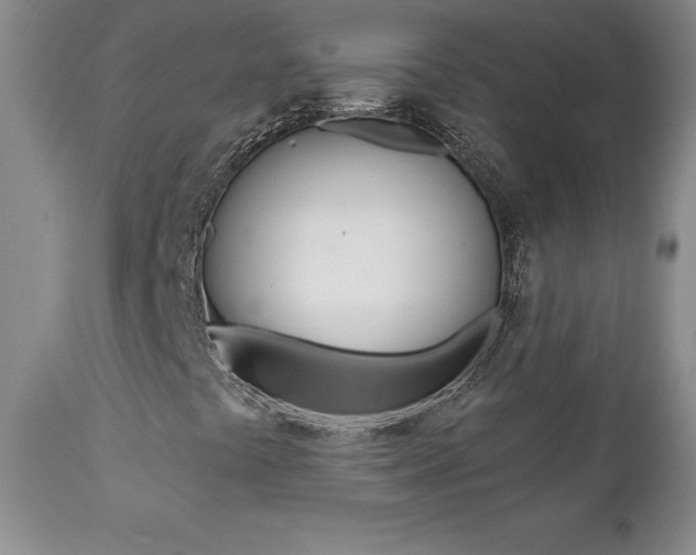 X0000112001441200908031035