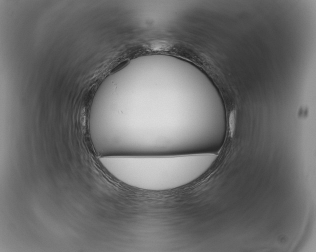 X0000112001443200908031035