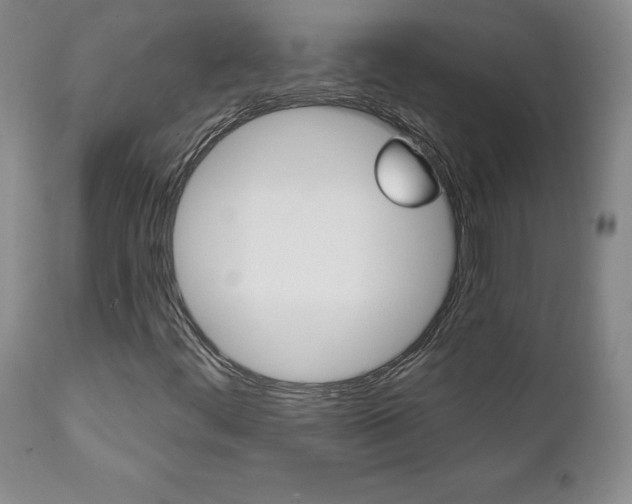 X0000112001444200908031035