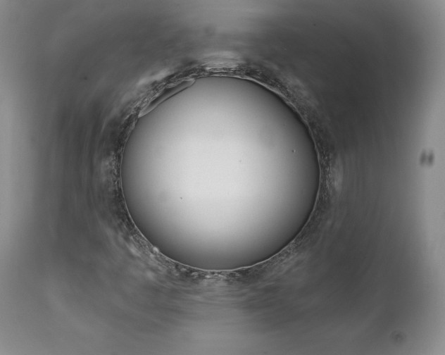 X0000112001445200908031035