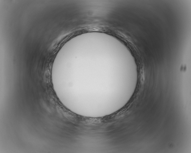 X0000112001446200908031035
