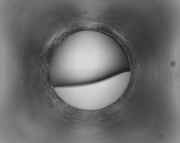 X0000112001447200908031035