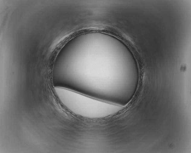 X0000112001448200908031035