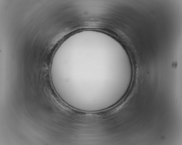 X0000112001449200908031035