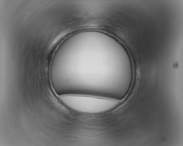 X0000112001450200908031035