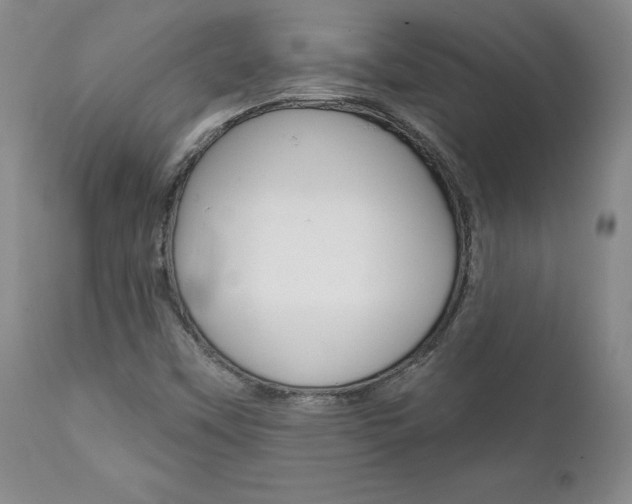 X0000112001451200908031035