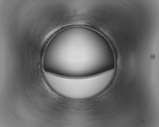 X0000112001452200908031035