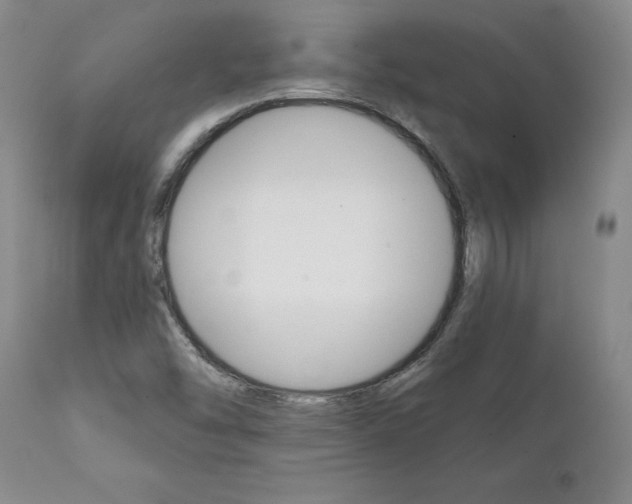 X0000112001454200908031035