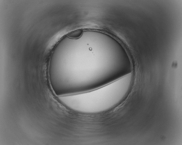 X0000112001455200908031035