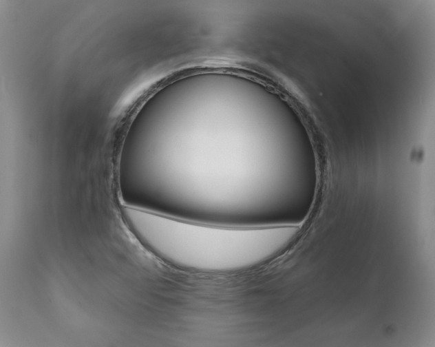 X0000112001456200908031035