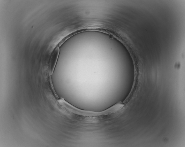 X0000112001457200908031035