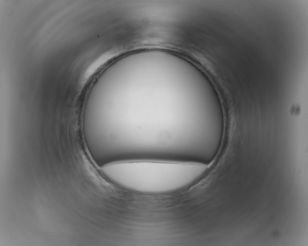 X0000112001458200908031035